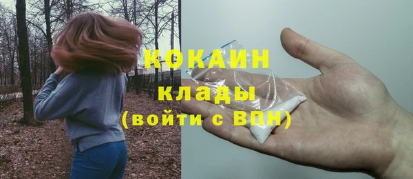бошки Арсеньев